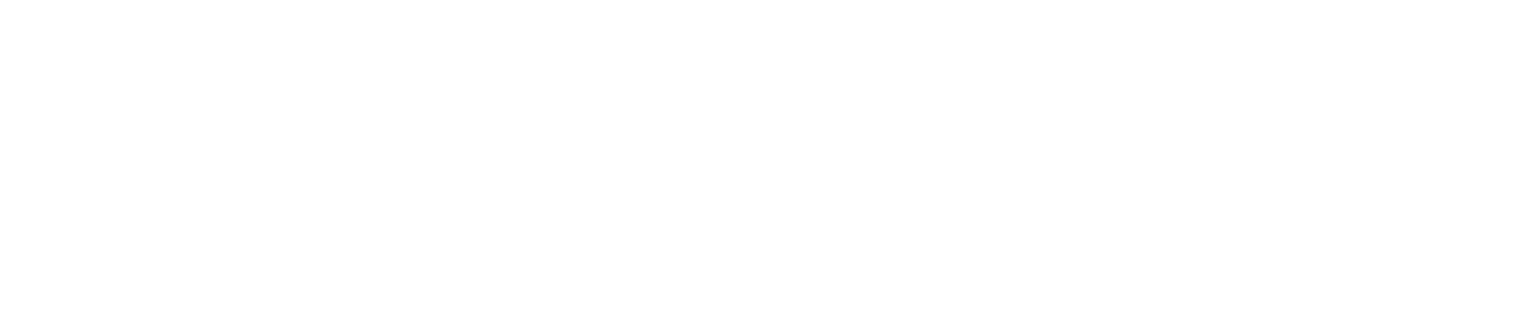 Digital Indian Store